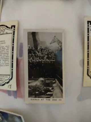 Tarjetas Homeland Events -