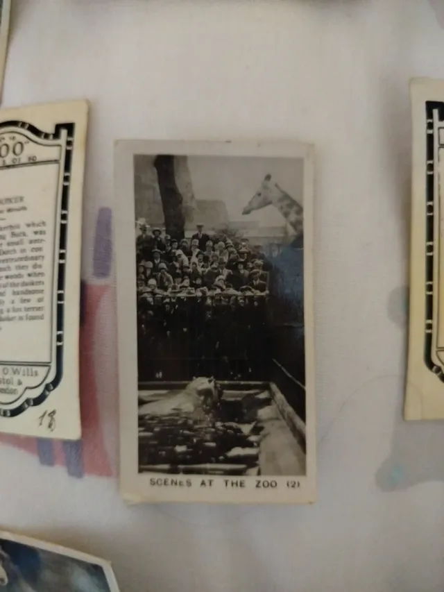 Tarjetas Homeland Events -