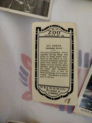 Tarjetas Homeland Events -