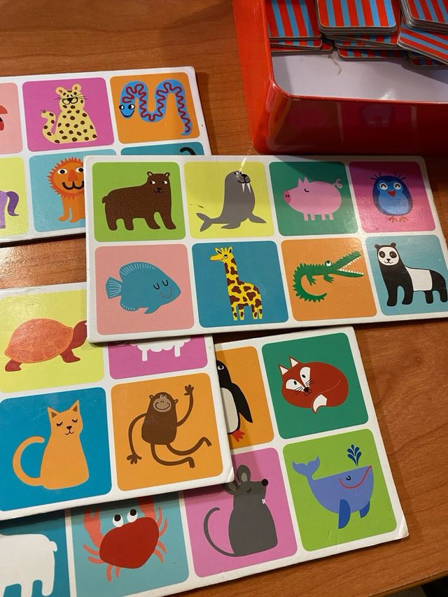 Juego de mesa Billelotteri Picture Lotto