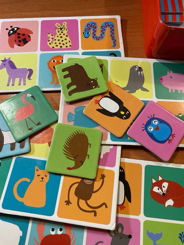 Juego de mesa Billelotteri Picture Lotto