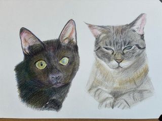 Retrato personalizado a grafito