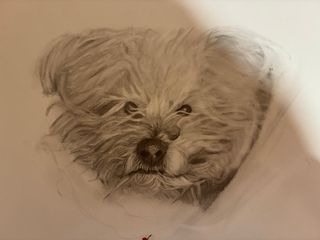 Retrato personalizado a grafito