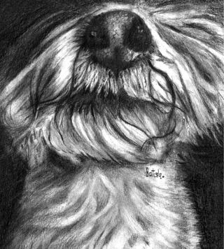 Retrato personalizado a grafito