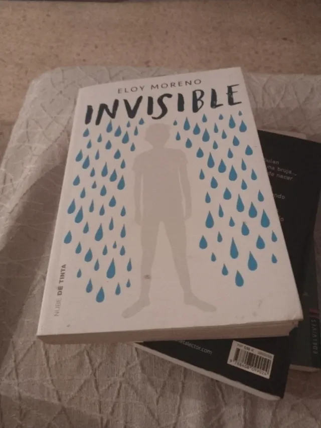 Invisible / Invisible (Spanish Edition)