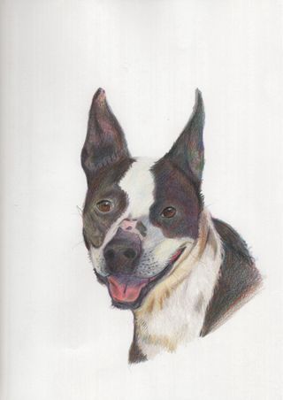 Retrato personalizado con lápices de colores