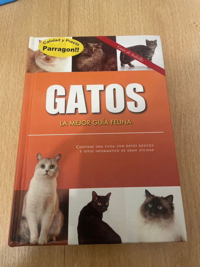 GATOS: LA MEJOR GUIA FELINA
