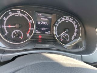 Skoda Fabia 2019 💥 199€/mes ¡Sin entrada!