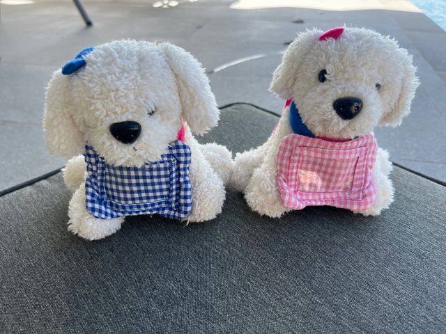 Peluche Portaretrato Perro Blanco