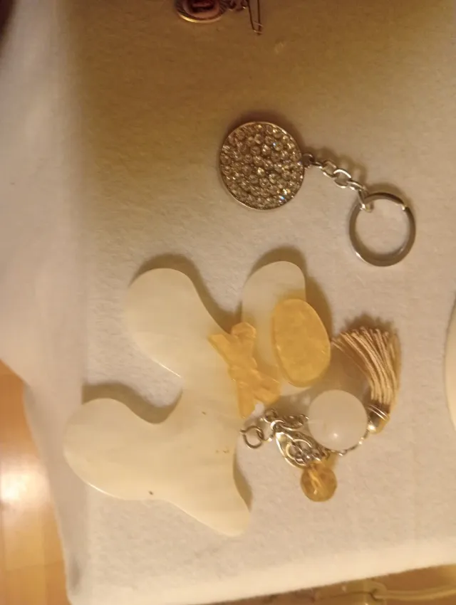 Dos Llaveros perro y disco brillante.