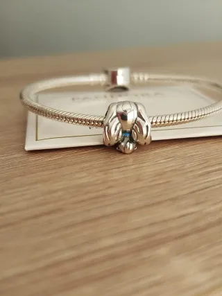 Charm Dama de la Dama y el Vagabundo de Disney