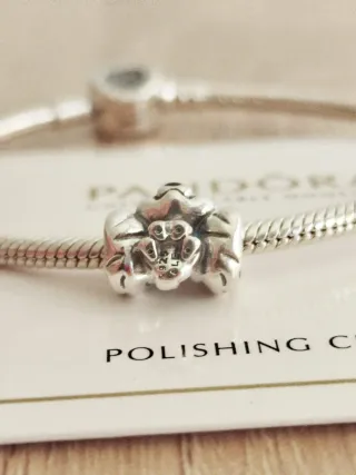 Charm Dama de la Dama y el Vagabundo de Disney