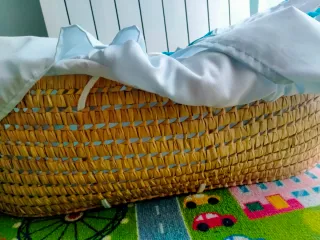 Moisés para bebé