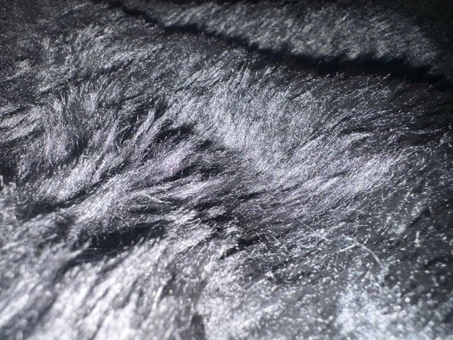 Manta Tucano Honda PCX 125 (2015)