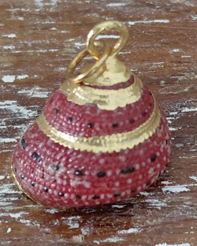 Colgante concha dorada y roja