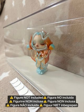 Vitrina para colecciones / mostrador