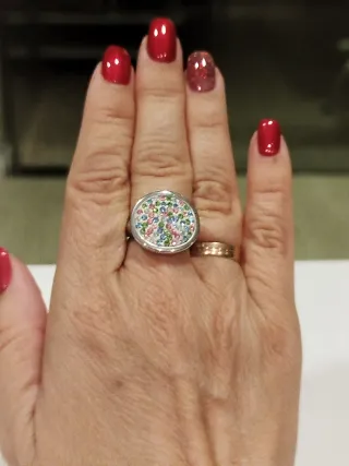 Anillo Acero Multicolor