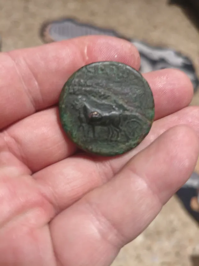 Sestercio Agripina Senior