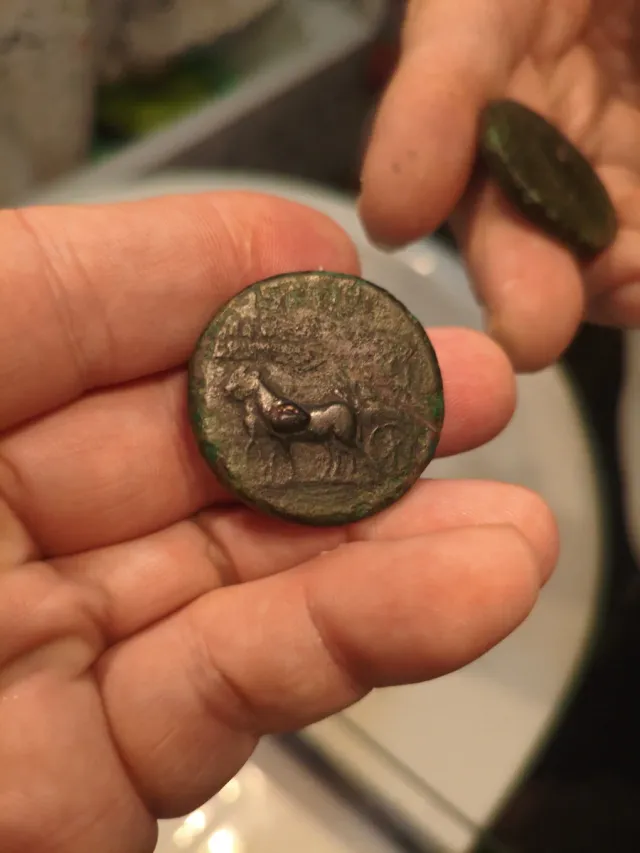 Sestercio Agripina Senior