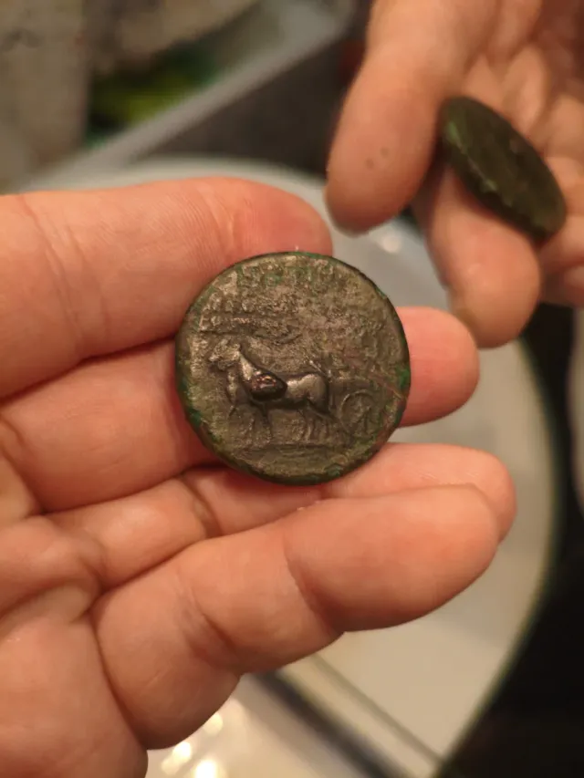 Sestercio Agripina Senior