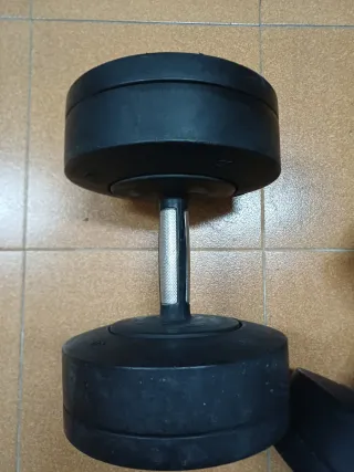 Par Mancuernas Technogym 40 kg