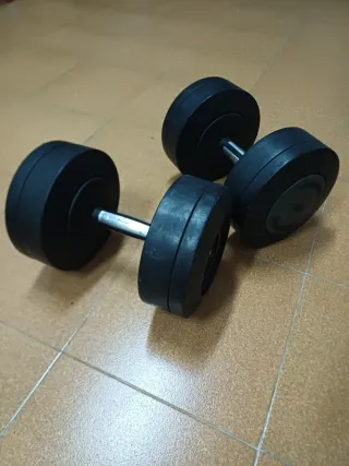 Par Mancuernas Technogym 40 kg