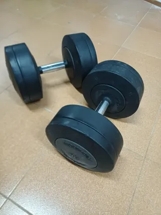 Par Mancuernas Technogym 40 kg