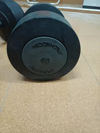 Par Mancuernas Technogym 40 kg