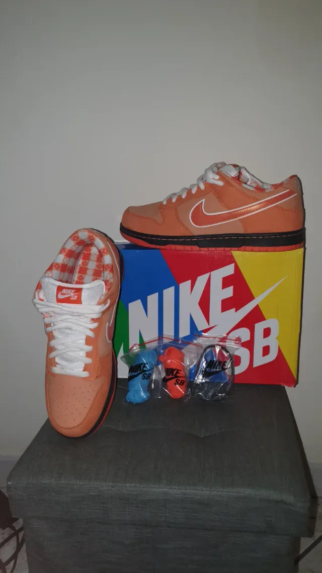 Nike sb Dunk Low lobster Orange