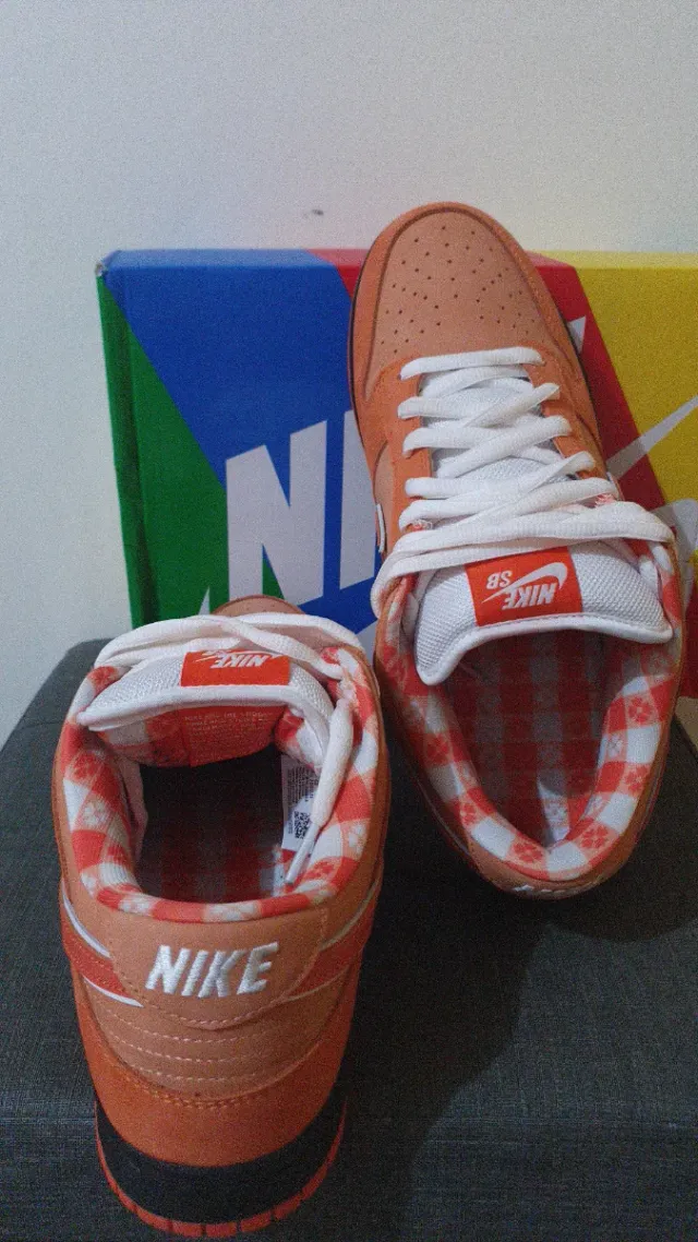 Nike sb Dunk Low lobster Orange