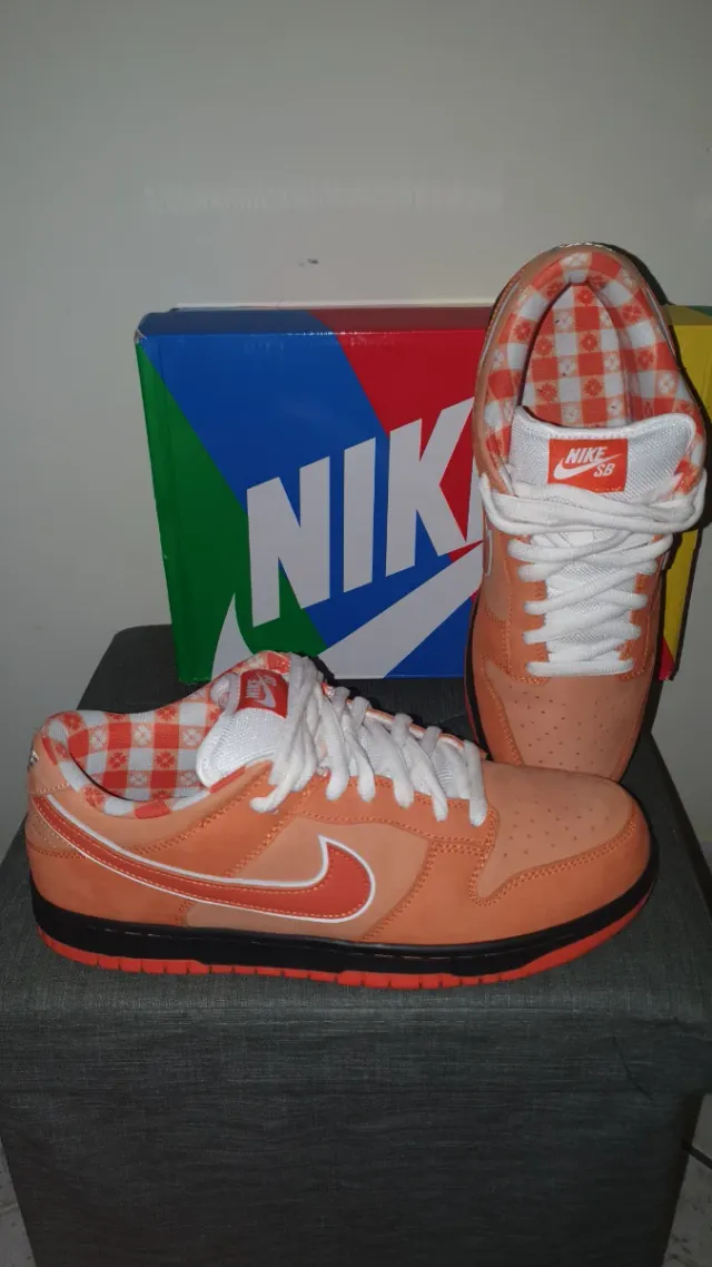 Nike sb Dunk Low lobster Orange