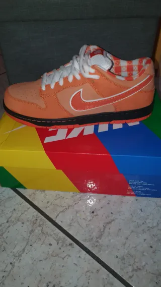 Nike sb Dunk Low lobster Orange