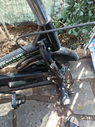 Bicicleta Estática Profesional
