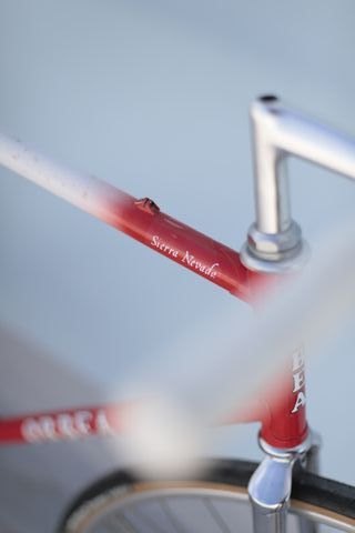 Bicicleta Orbea custom freno contrapedal