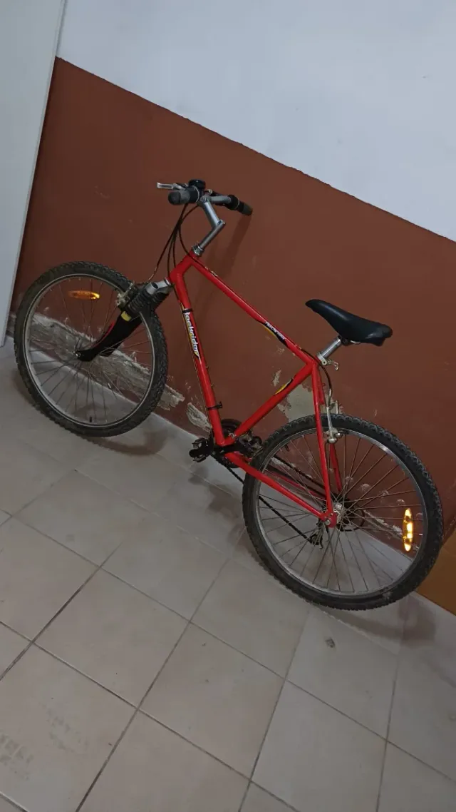 Bicicleta de Montaña Roja
