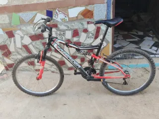 Bicicleta Freerider Montaña