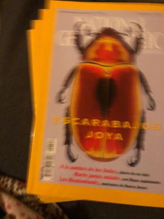 Revistas National Geographic 2001. 2 euros ejempla