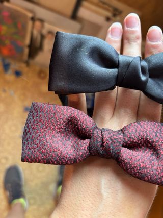 Pajaritas negras y rojas