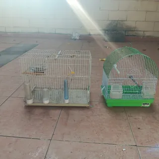Vendo lote de Jaulas para pájaros azul y plateada