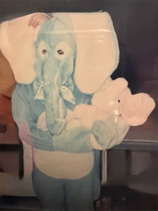 Disfraz Elefante Azul adulto