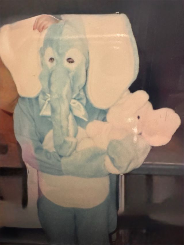 Disfraz Elefante Azul adulto