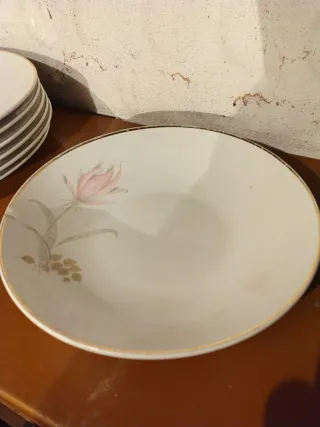 Vajilla Porcelana San Claudio