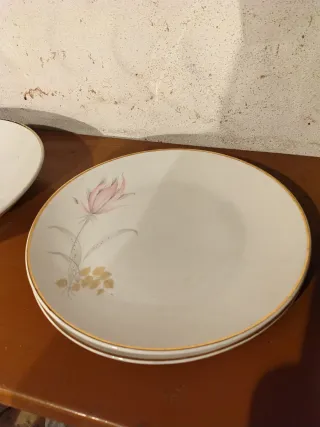 Vajilla Porcelana San Claudio