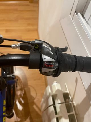 Bicicleta Plegable Moritz Edición Especial