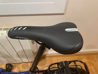 Bicicleta Plegable Moritz Edición Especial