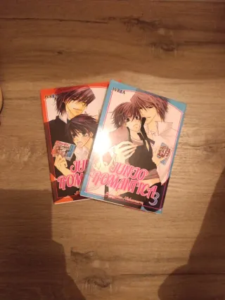Mangas Junjou Romantica