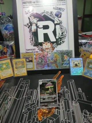 Shiinotic ssp 194/191