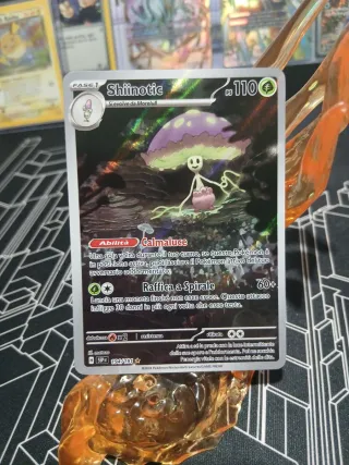 Shiinotic ssp 194/191