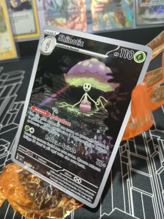 Shiinotic ssp 194/191