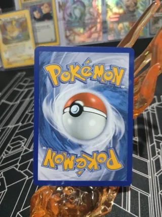 Shiinotic ssp 194/191